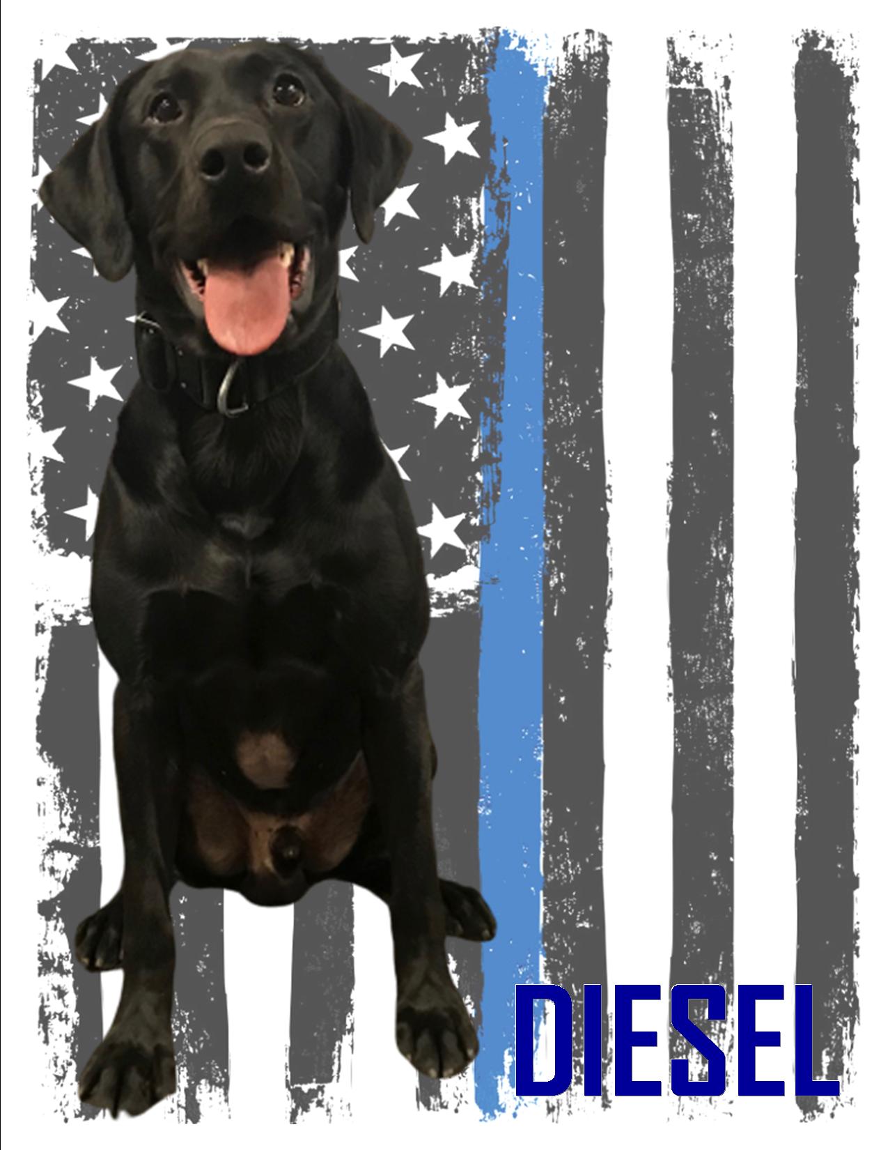 K9 DIESEL