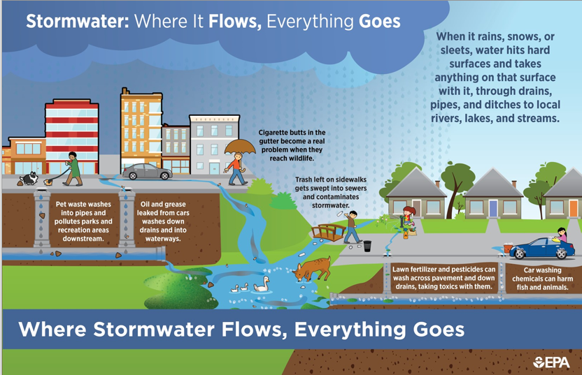 Screenshot 2024-07-19 104738